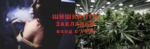 spice Алзамай