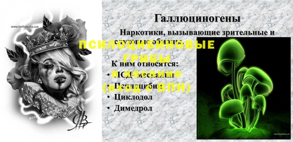 spice Алзамай