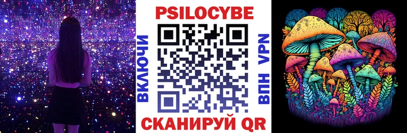 Псилоцибиновые грибы MAGIC MUSHROOMS  мега рабочий сайт  Черногорск 